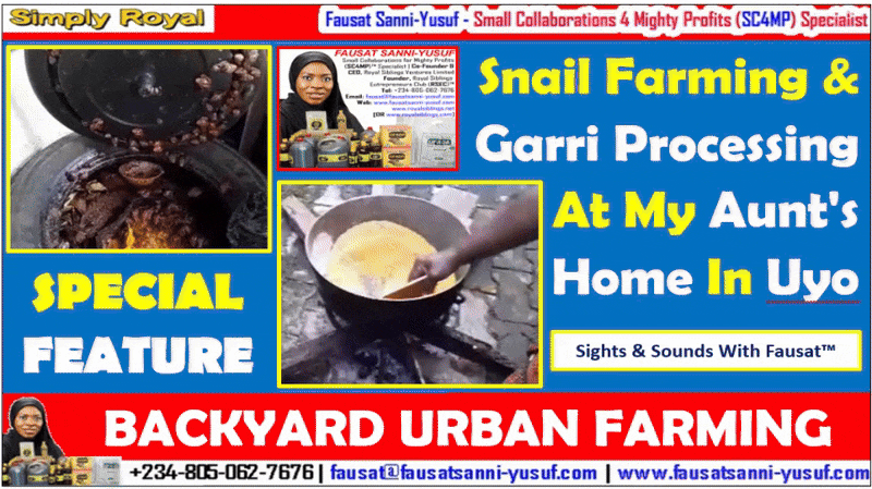 Snail Farming and Garri Processing At My Aunt’s Home In Uyo | BACKYARD URBAN FARMING SPECIAL FEATURE – Sights & Sounds With Fausat