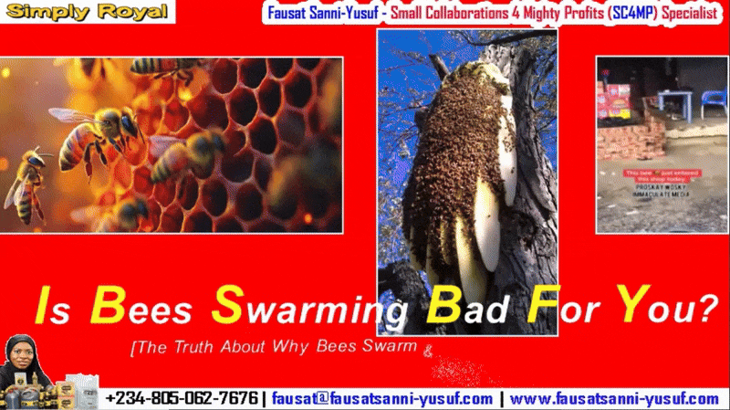 Is It A Bad Sign If Bees Swarm To Your Place? [The Truth About Why Bees Swarm & What You Need To Do]