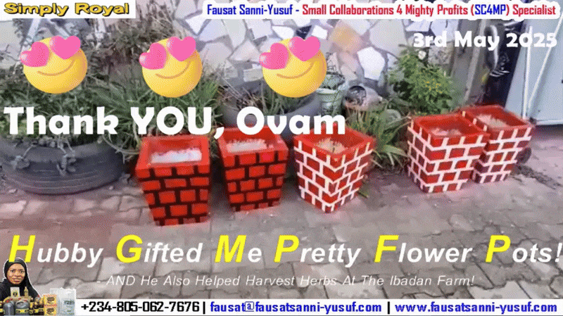 “Thank YOU, Ovam♡♡♡” | Exciting Urban Farm Updates: Darling Hubby Gifted Me Pretty Flower Pots In Lagos & Also Helped Out At The Ibadan Farm!